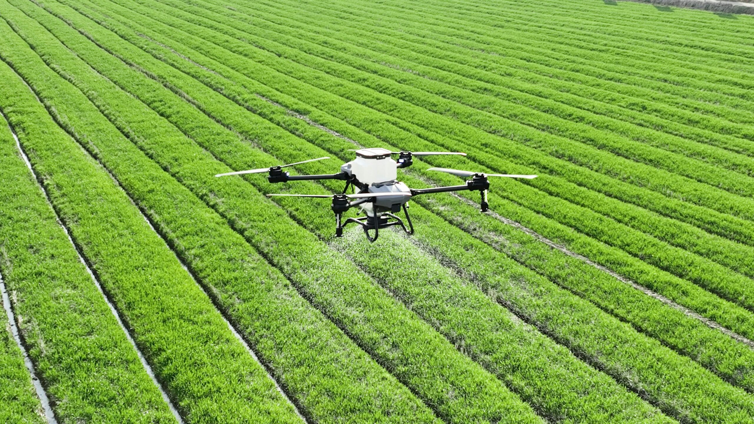 Agriculture Focus